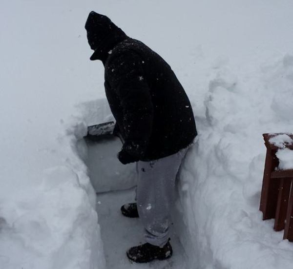 How to Shovel a "Path to Poop" in the Snow for Your Dog Dogster
