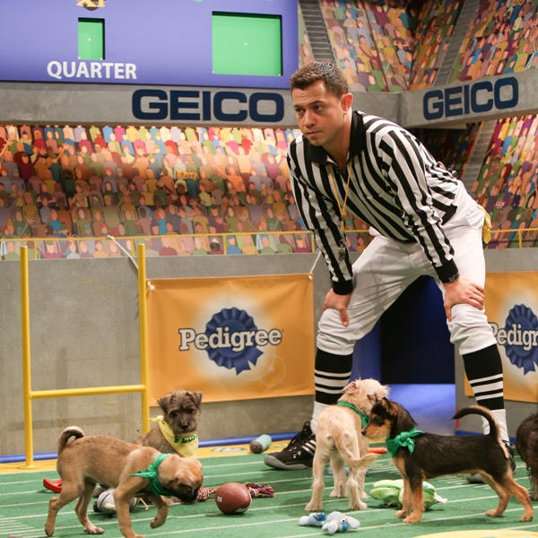 Cuteness Overload: Meet the Lineups of the 2015 Puppy Bowl!