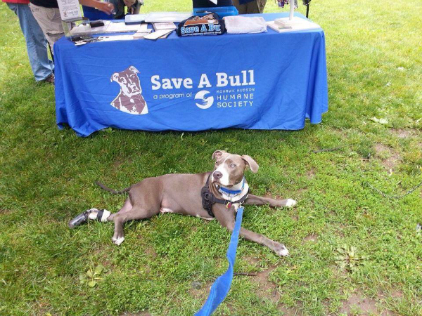 Hudson has attended plenty of animal advocacy events.