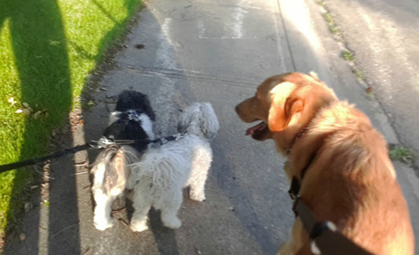 Just walking along, minding our own business...