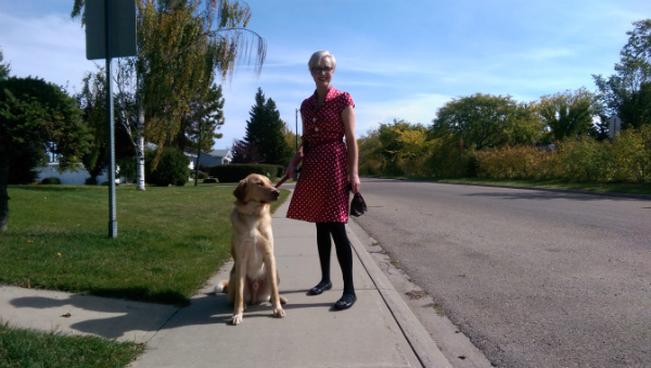 GhostBuster only goes off-leash in fenced areas. He doesn't understand traffic.