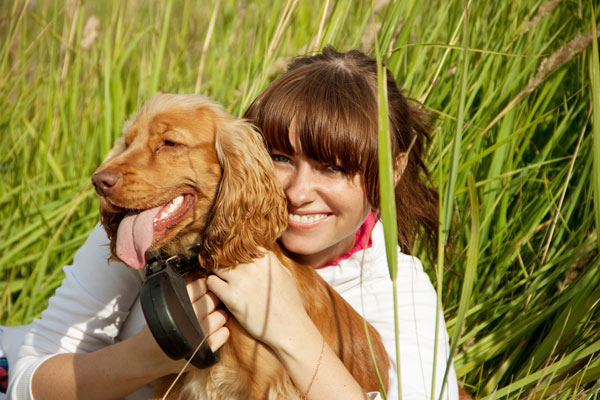 cocker spaniel talking