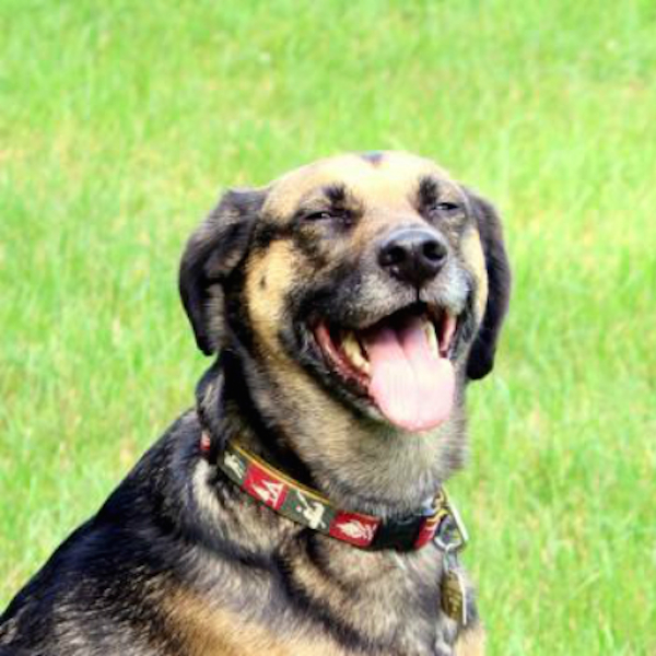 Who wouldn't fall in love with that face? (All photos courtesy of Karen White)