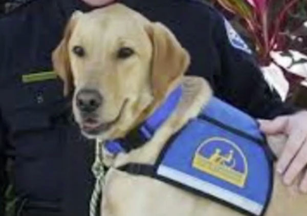 alabama-police-dog-dies-in-car-03