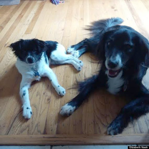 Annie and her adopted sister, Maisie.