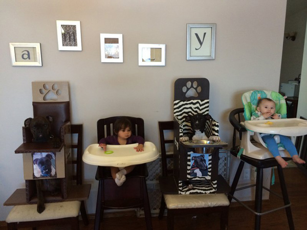 A whole family gearing up to eat in high chairs and Bailey chairs, side-by-side. (Bailey Chairs 4 Dogs)