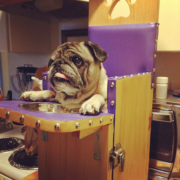 Another example of a Bailey chair, from Bailey Chairs 4 Dogs.