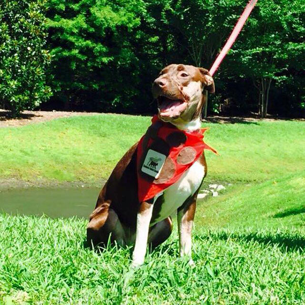 Caitlyn is ready for the next stage of her life.