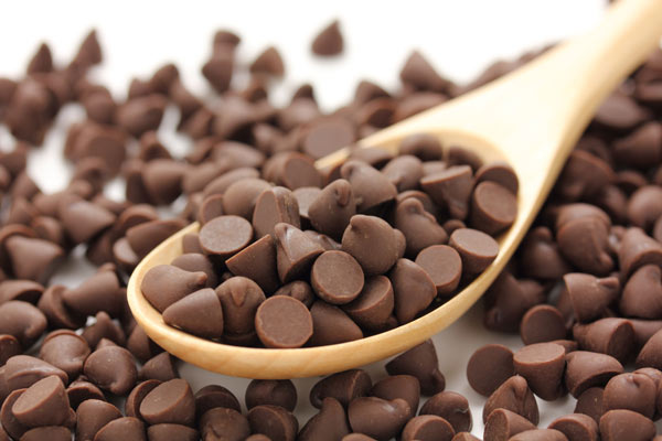 Dog ate bag of chocolate chips sale