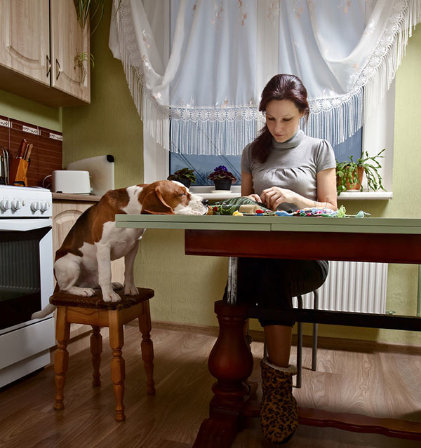 Dog watches embroidery by Shutterstock