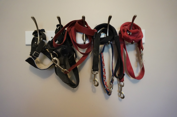 Having a dedicated area for your leashes means you can get out the door quickly.