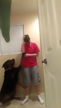 Samson comforts his human, Danielle Jacobs.