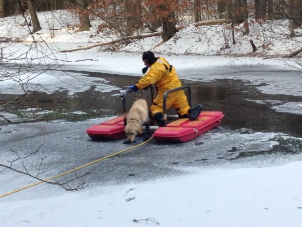 Satchel, a two-year-old Golden Retriever, is rescued from icy waters in Sudbury, Mass. (Photo courtesy of the Sudbury Fire Department)