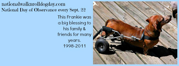 Frankie, Barbara Techel's inspiration for Walk 'N Roll Day, and the namesake of the The Frankie Memorial Fund. (All photos via Walk 'N Roll Dog Day Facebook page)