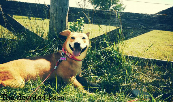 Maria on the farm