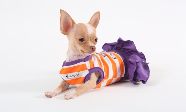 Marrero's Toy Doggie styles are casual but fun, like this Miss Doggieverse dress.