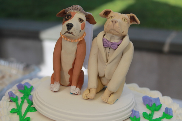 Wedding Dogs Titus Hailey