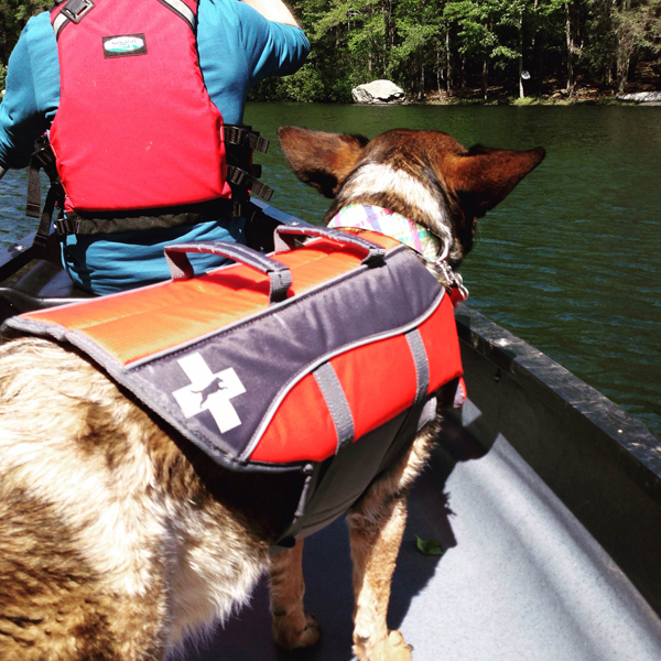 Ready for an adventure on the water.