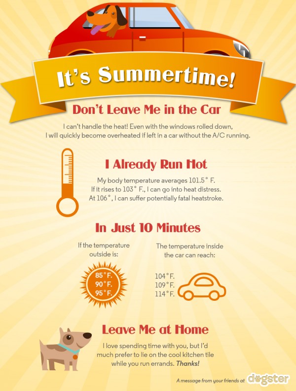 car-temperature-for-dogs-chart