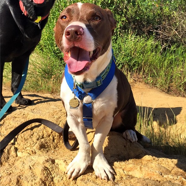 Beaux looks out for his friends.