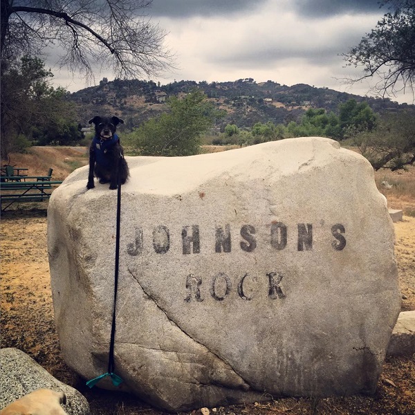 Monkey on top of a very big rock.