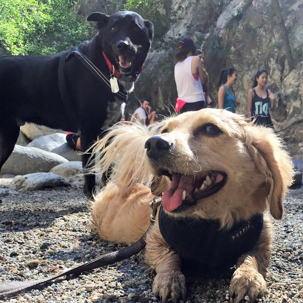 Sadie takes a break for socializing.