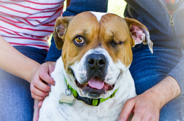 The happy face of a girl who's found the perfect foster family.