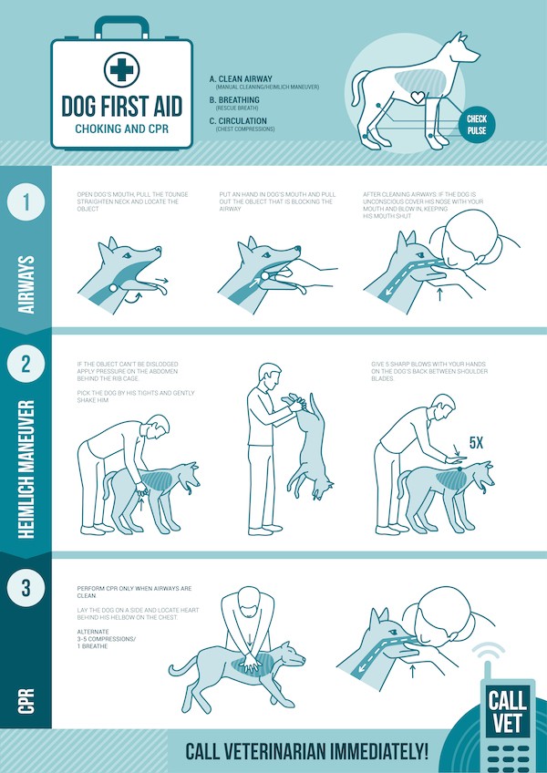Dog CPR instructions by Shutterstock.