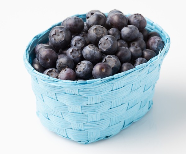 What dog doesn't love blueberries? They are ball-shaped, after all. (Blueberries by Shutterstock)