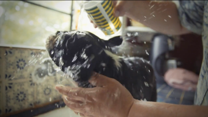 That's one squeaky-clean BT.