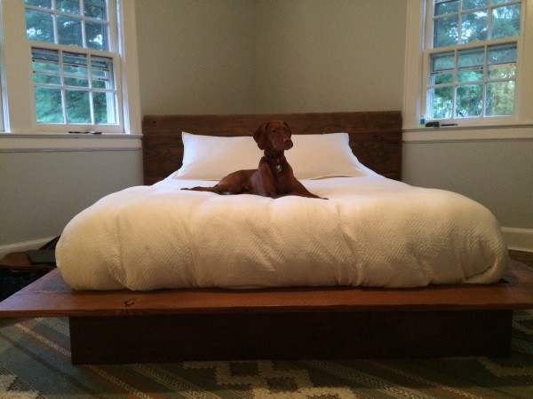 Finley is allowed on our pure white bed and she never leaves behind any hairy evidence.