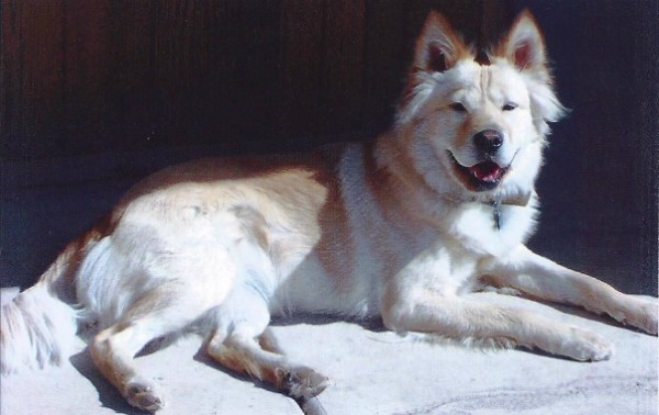 Nola is a total sun worshipper at ten years old.