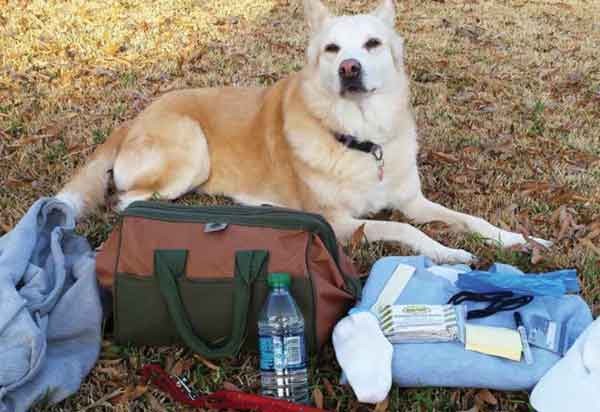 It's a great idea to put together a travel first aid kit. (Photo by Arden Moore)