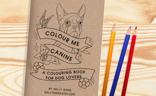 Border Collie Coloring Book: A Cute Adult Coloring Books for Border Collie  Owner, Best Gift for Border Collie Lovers