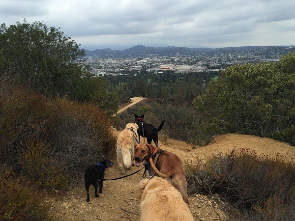 Riggins leads our guests on the trails. (Photo by Wendy Newell)