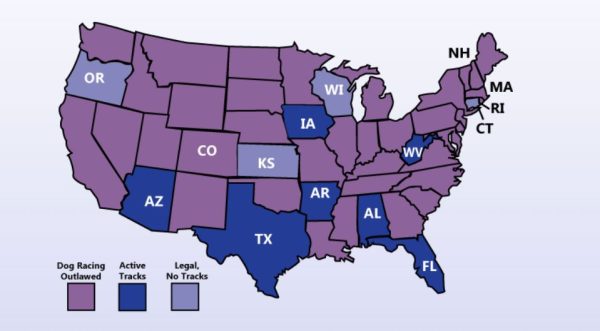 Dog racing laws by state (Via Grey2K)