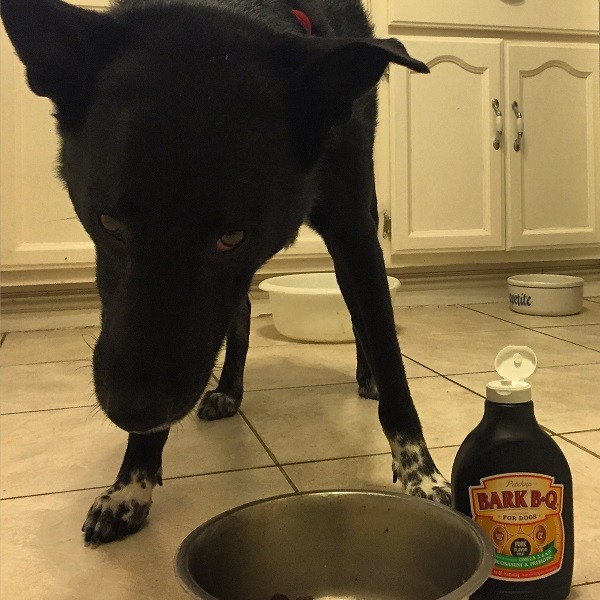 DON'T TOUCH MY BARK B-Q!