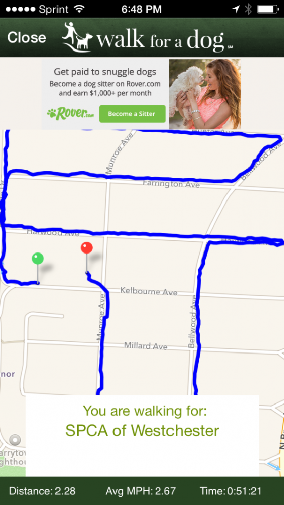 The app recorded my first walk around the neighborhood on behalf of the SPCA of Westchester. 