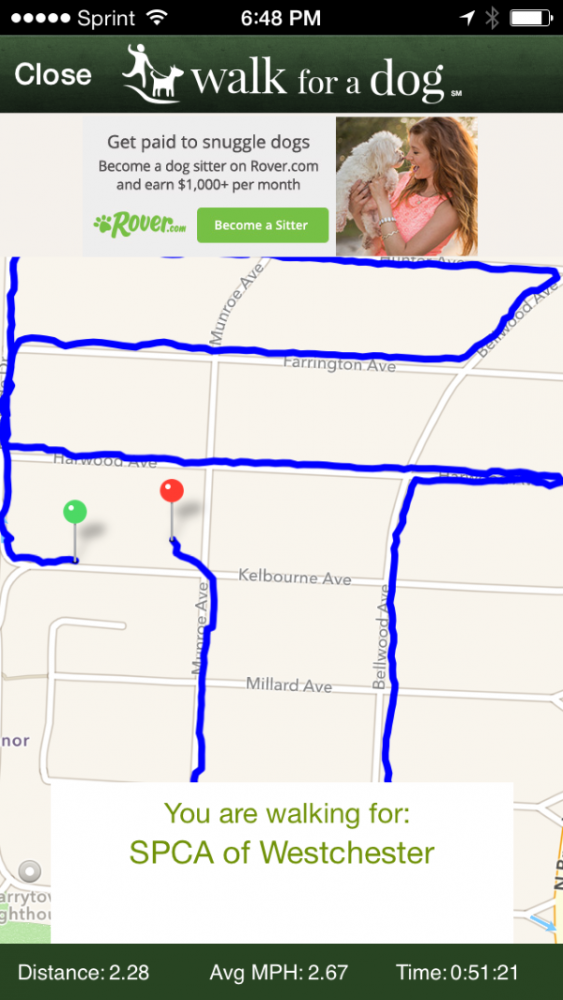 The app recorded my first walk around the neighborhood on behalf of the SPCA of Westchester.