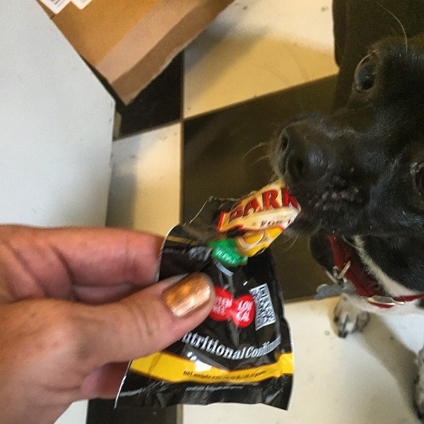 Louie liked it straight from the packet!