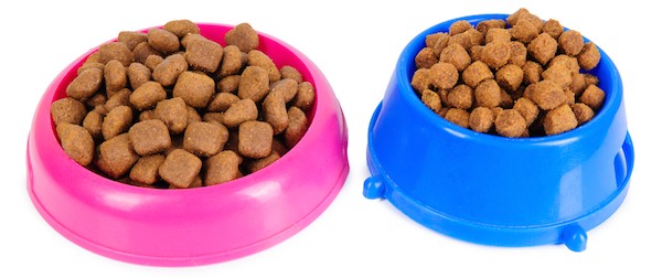 Dog food bowls by Shutterstock.