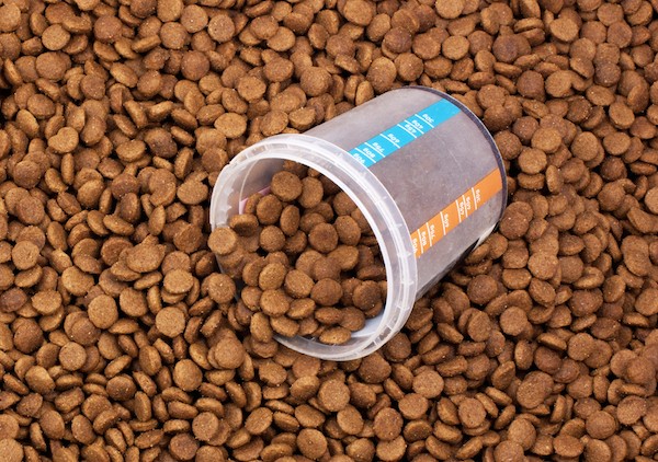 Measuring cup in dog food by Shutterstock.