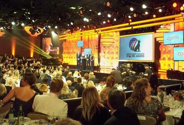 That's me up on stage, giving my acceptance speech. (Photo courtesy Julie Carlson)
