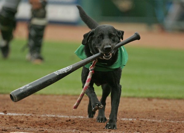 B.R.B: What does BRB mean in Sports? Babe Ruth