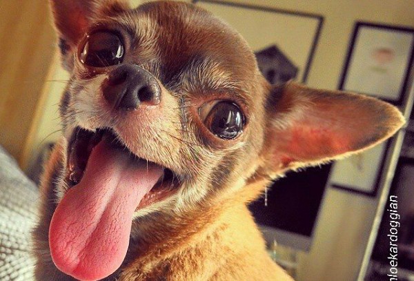 This is definitely the face of someone with energy.