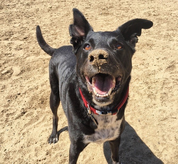 Did someone mention presents? (Photo by Wendy Newell)