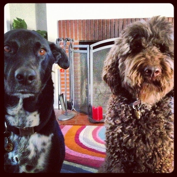 Riggins and Morgan. Old school BFFs (Photo by Wendy Newell)