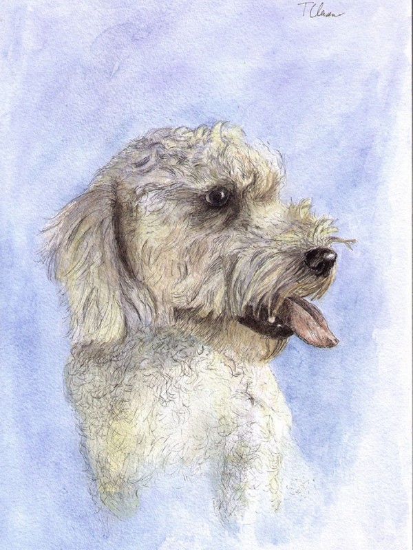 dog-portrait-painting-drawing-watercolor-pen-thomas-clausen