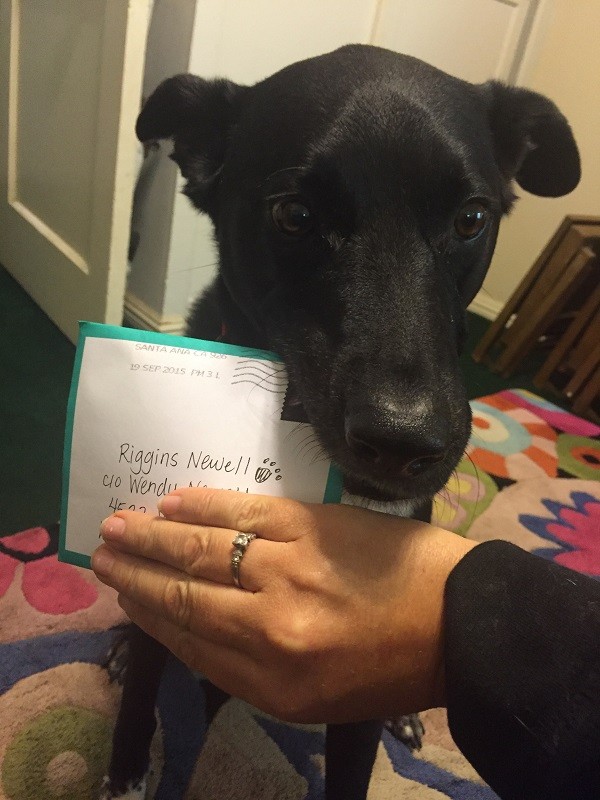 Riggins don't eat your thank you card! (Photo by Wendy Newell)