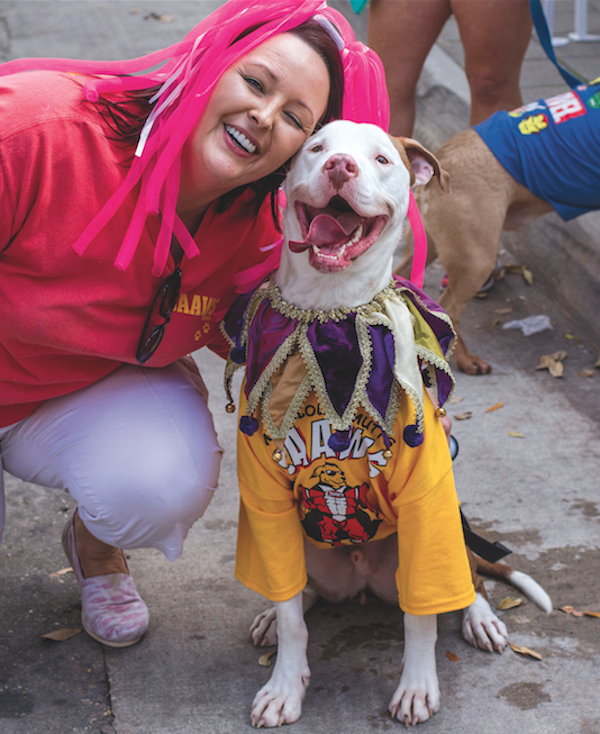A participant in the CAWWS Mystic Krewe of Mutts in Baton Rouge, Louisiana. (Photo courtesy CAWWS Mystic Krewe of Mutts)